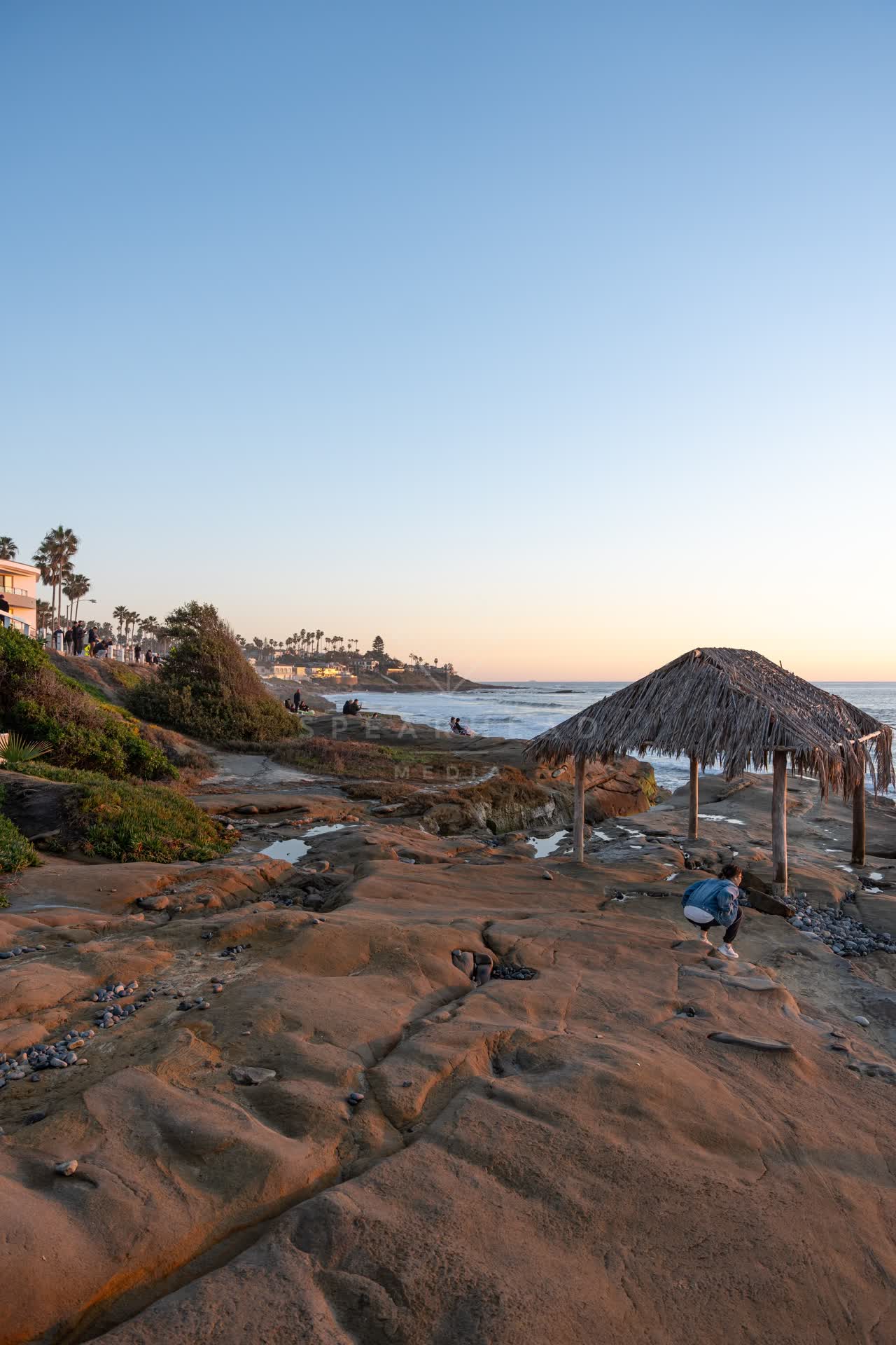 The beach, the surf and palm trees at Windansea, with people walking.