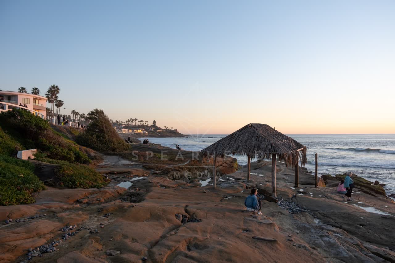 Elevated view of the cliffs, the surf and palm trees at Windansea, with a crowd gathered.