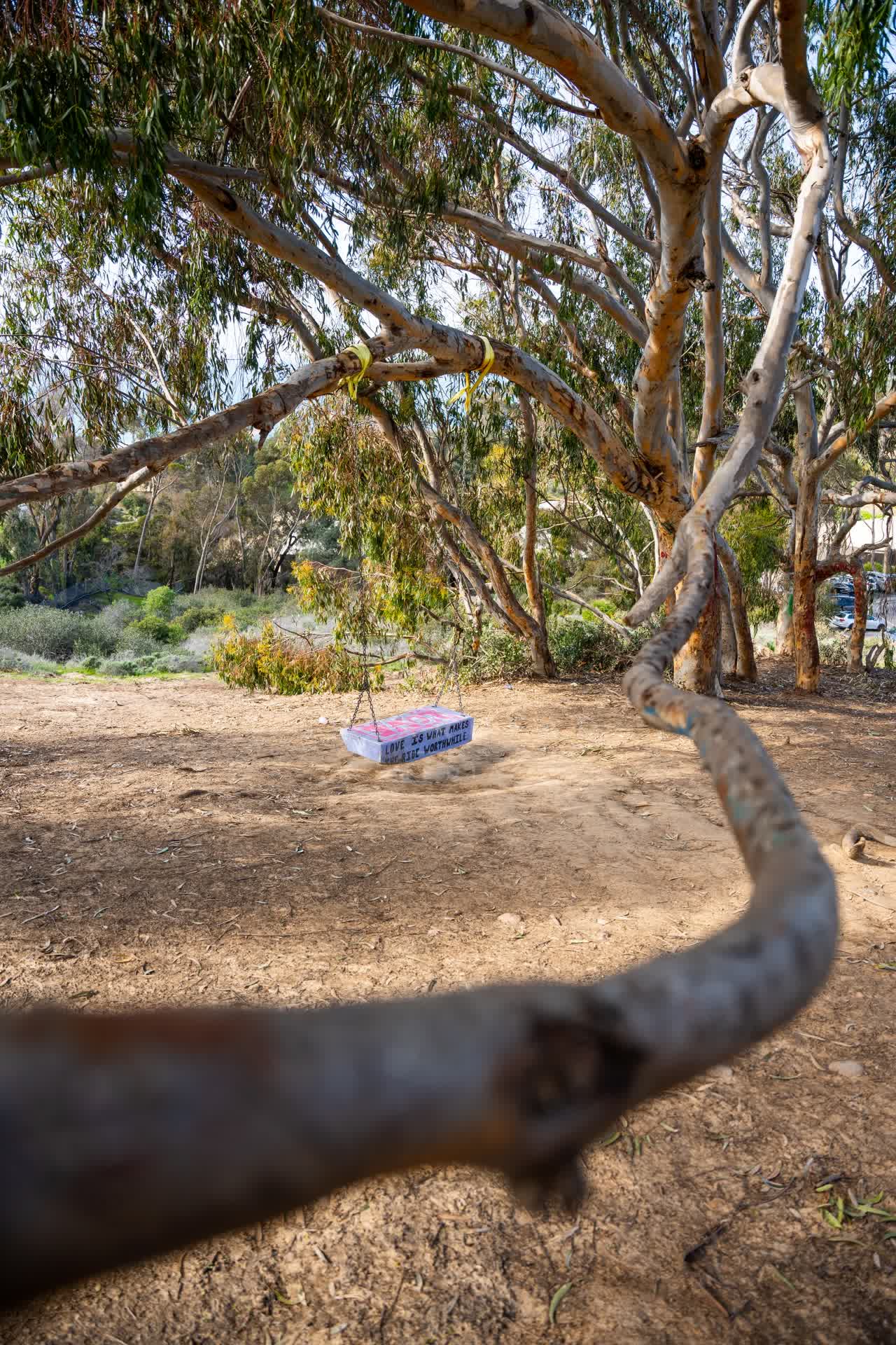 A park and open country at La Jolla Shores.