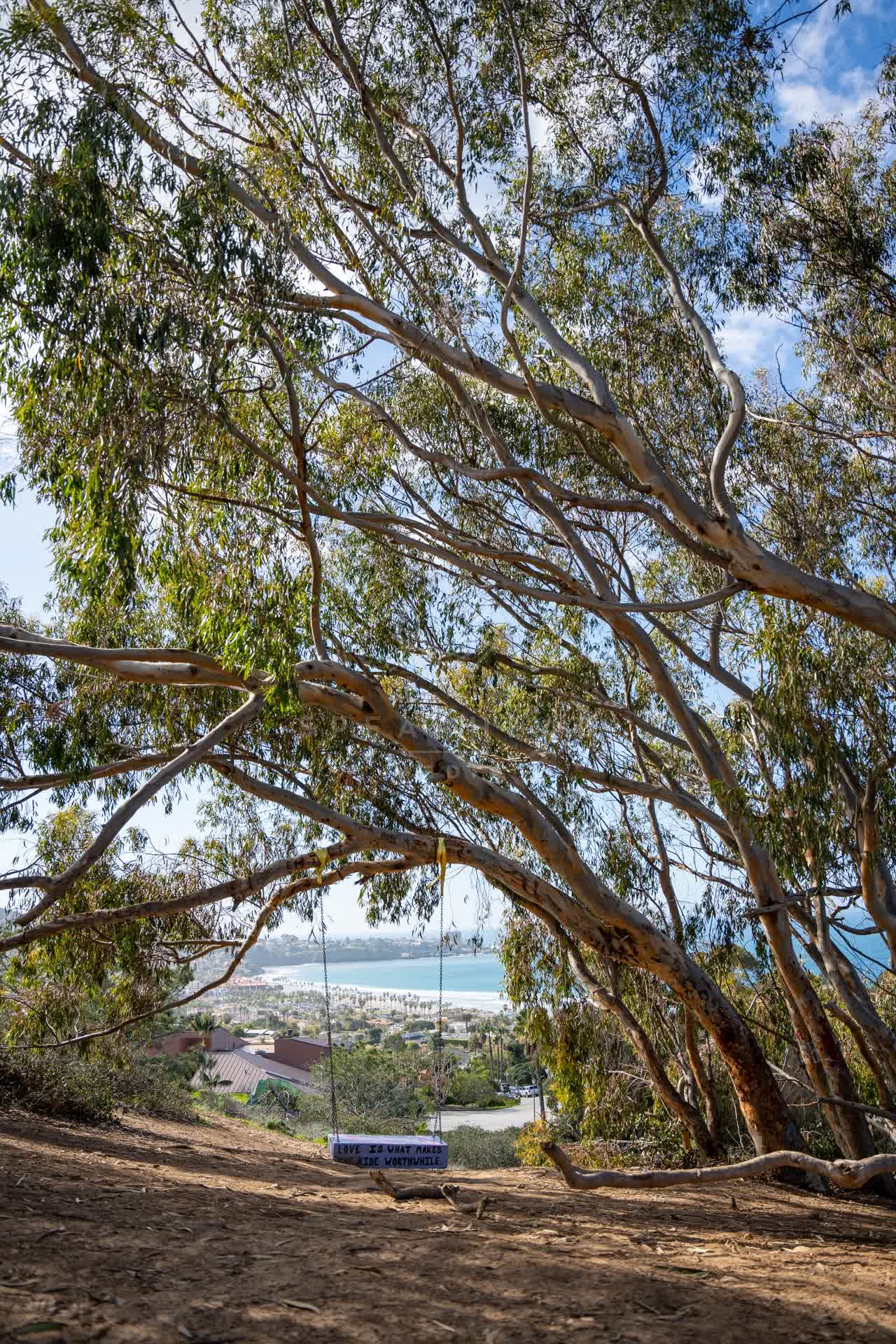 Elevated view of the cliffs, the ocean and homes at La Jolla Shores.