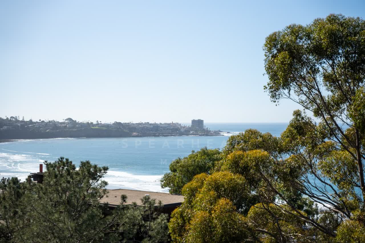 Elevated view of the cliffs, palm trees and the ocean at La Jolla Shores.