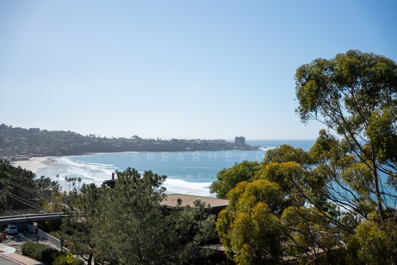 Elevated view of the beach, palm trees and the ocean at La Jolla Shores.