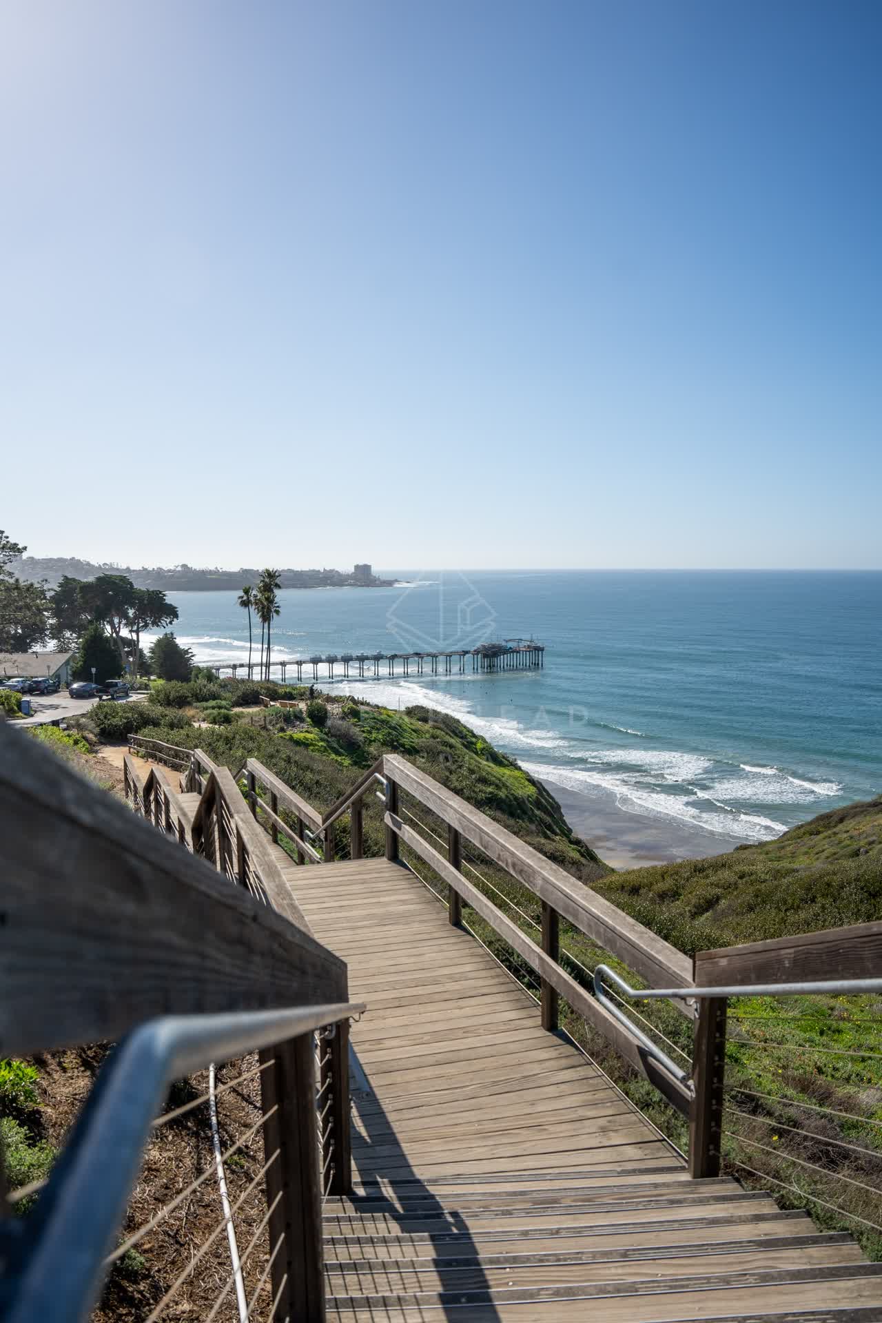 Elevated view of the cliffs, the pier and palm trees at La Jolla Shores.
