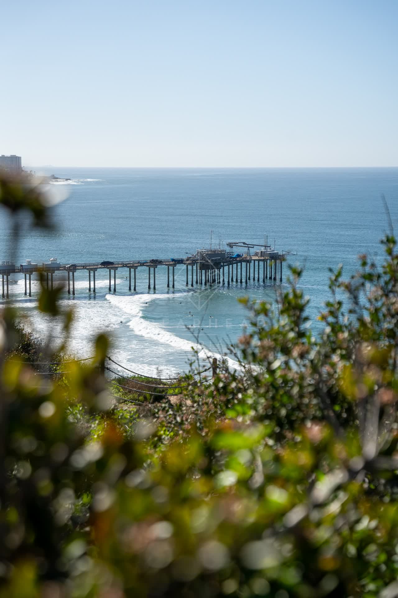 Elevated view of the cliffs, the surf and the pier at La Jolla Shores.
