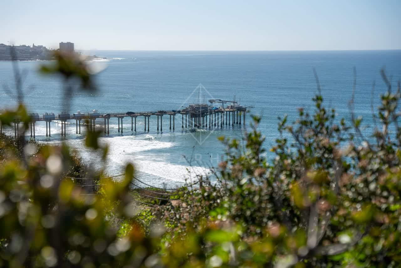 Elevated view of the cliffs, the surf and the pier at La Jolla Shores.