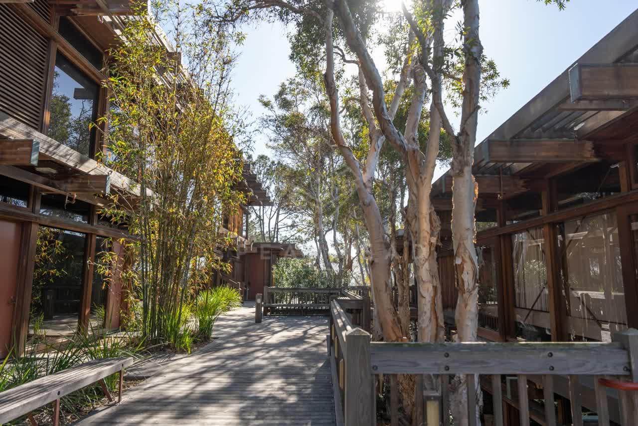 The country inland, palm trees and the buildings at La Jolla Shores.