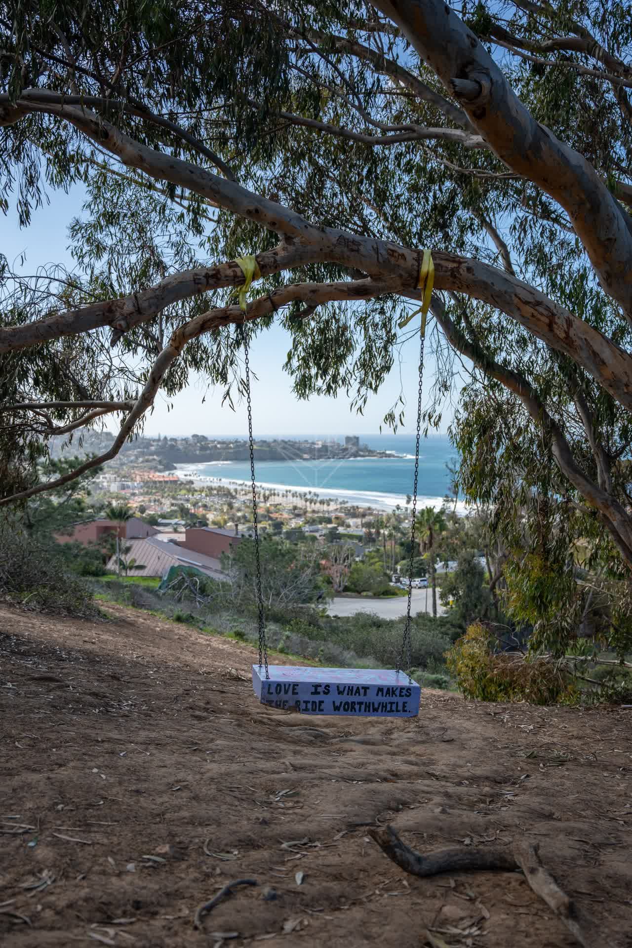 Elevated view of the cliffs, palm trees and the ocean at La Jolla Shores.