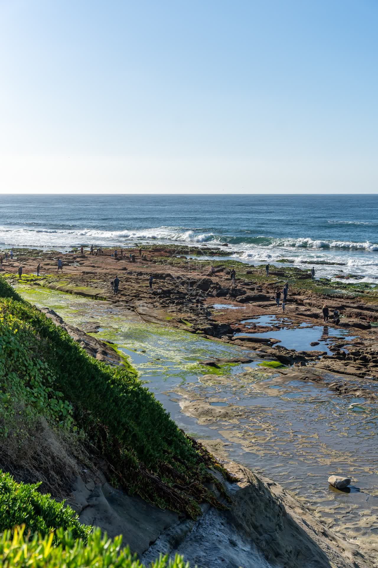 Elevated view of the beach, the surf and the ocean at La Jolla Cove, with people walking.