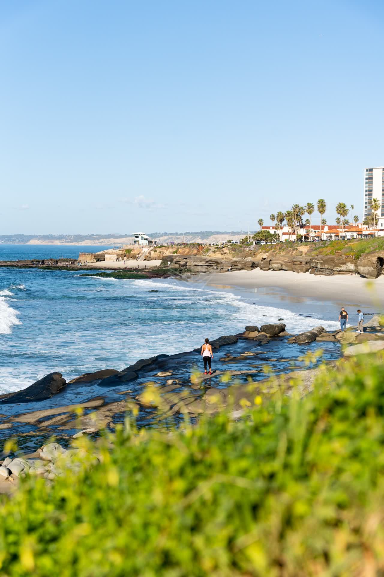 Elevated view of the beach, palm trees and the ocean at La Jolla Cove, with people walking.