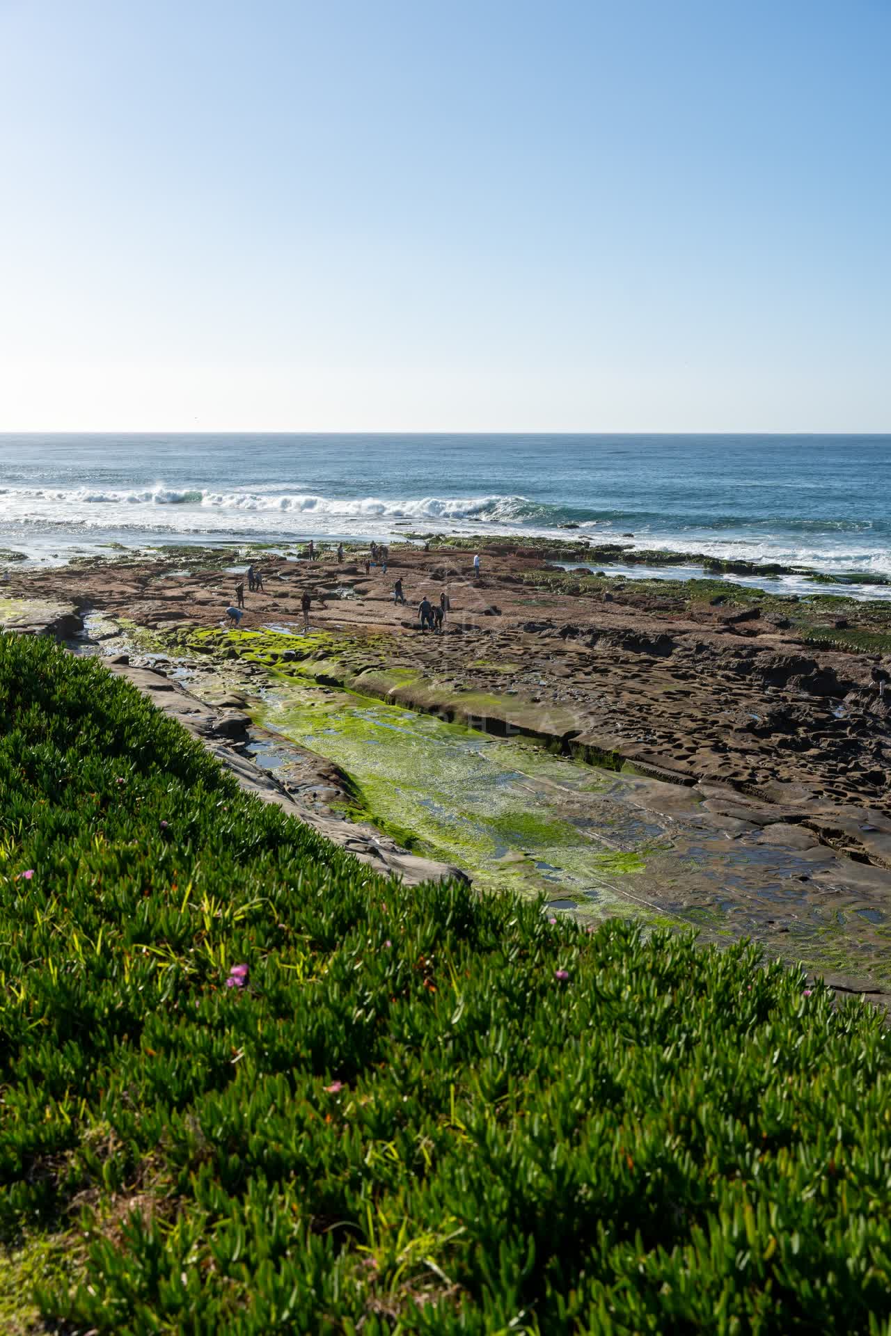 Elevated view of the cliffs, the surf and the ocean at La Jolla Cove, with people walking.