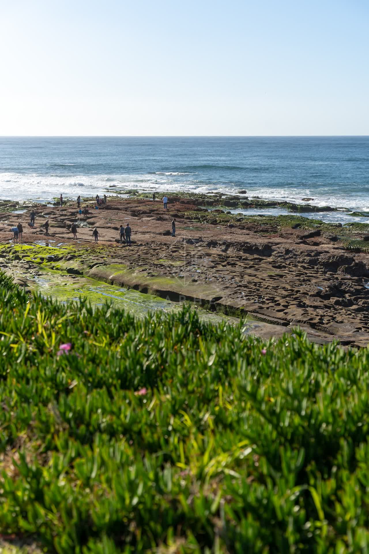 Elevated view of the cliffs, the surf and the ocean at La Jolla Cove, with people walking.