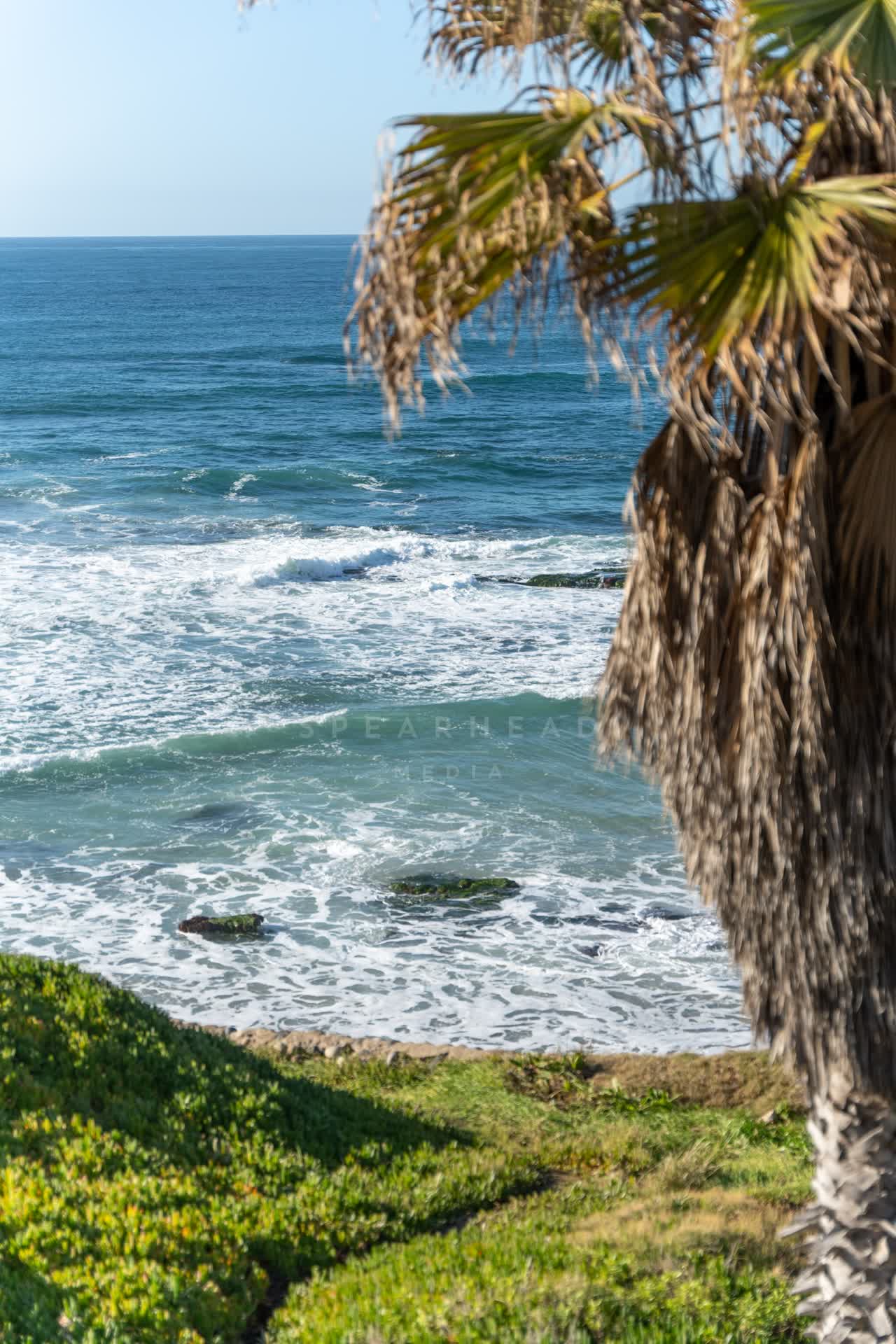 Elevated view of the cliffs, the surf and palm trees at La Jolla Cove.