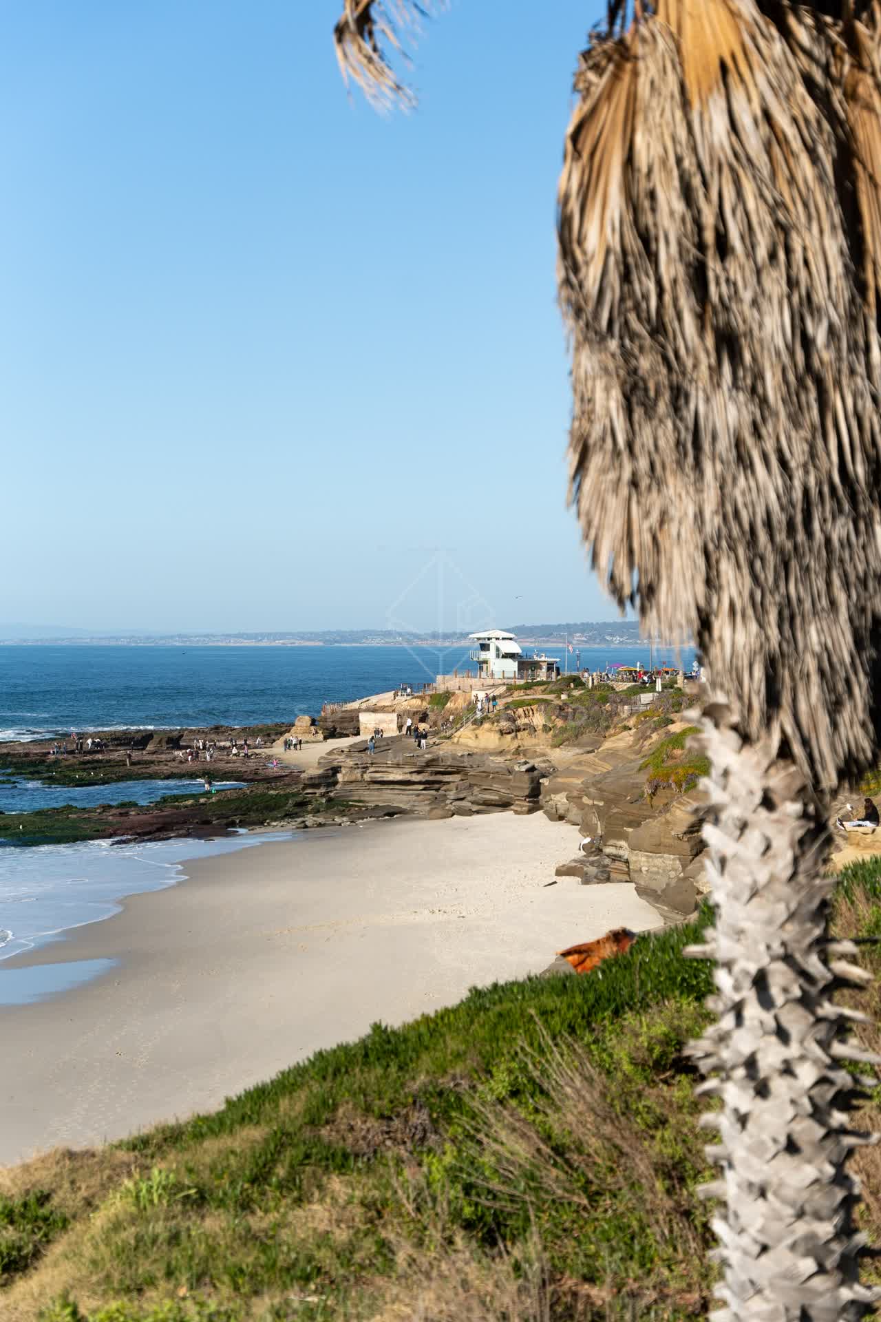Elevated view of the beach, palm trees and the ocean at La Jolla Cove, with people walking.