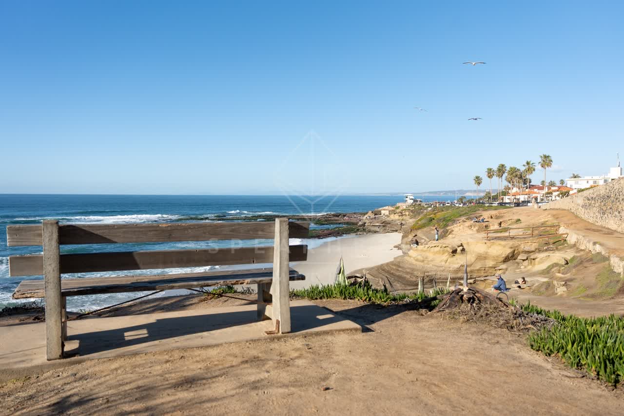 Elevated view of the cliffs, wildlife and palm trees at La Jolla Cove, with people walking.