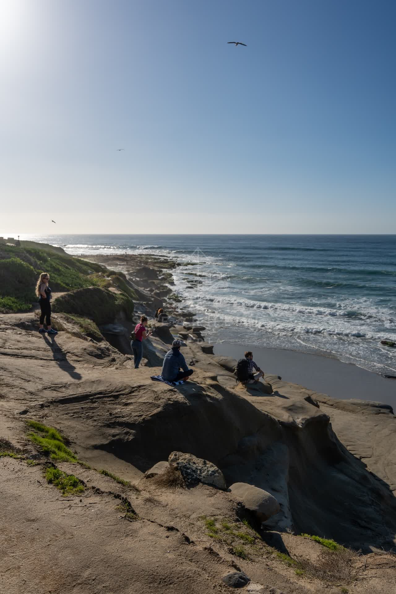 Elevated view of the cliffs, the surf and wildlife at La Jolla Cove, with a crowd gathered.