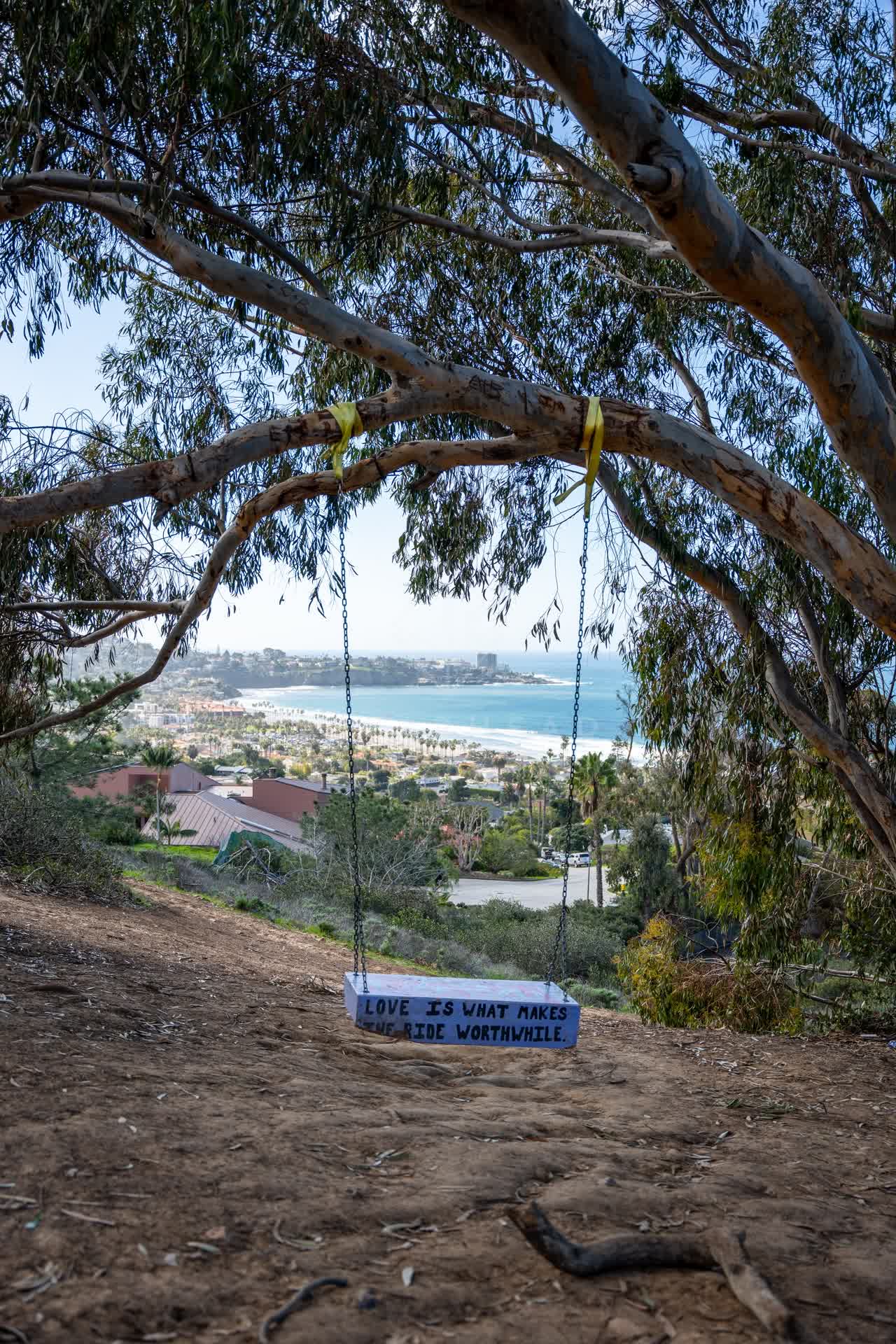 Elevated view of the cliffs, palm trees and the ocean at La Jolla Shores.