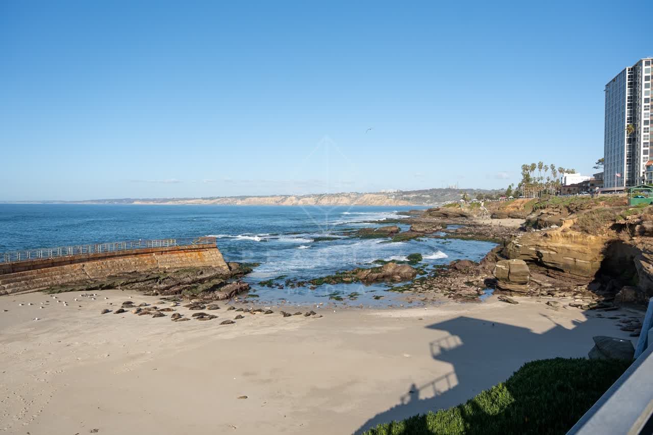 Elevated view of the beach, wildlife and palm trees at La Jolla Cove.