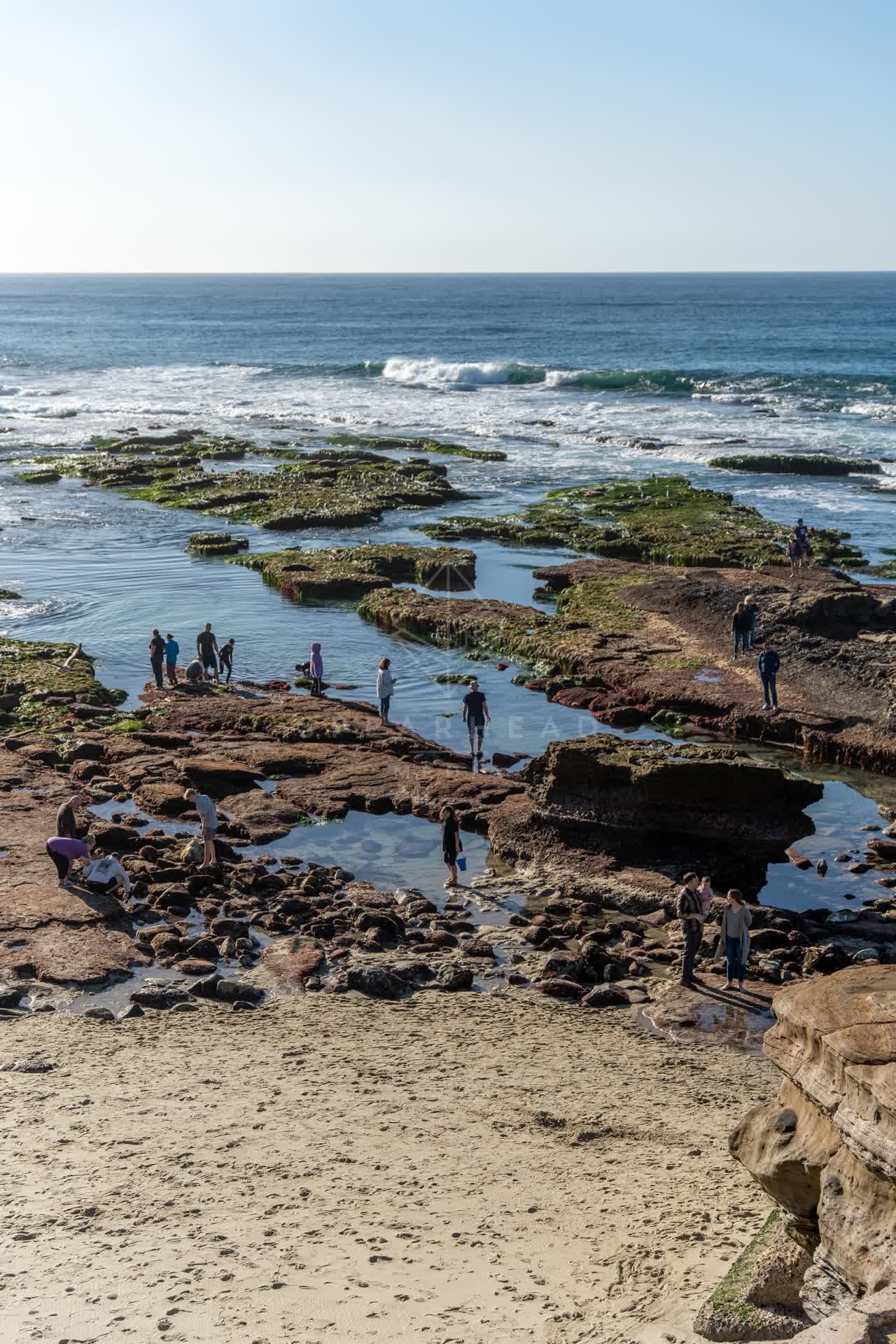 Elevated view of the beach, the surf and the ocean at La Jolla Cove, with a crowd gathered.