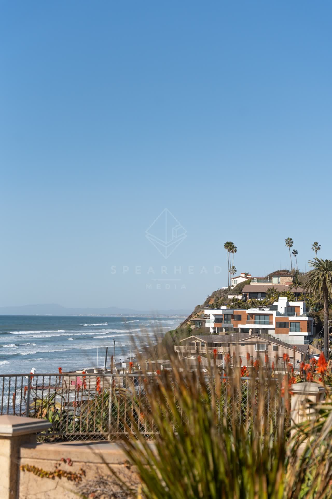 Elevated view of the cliffs, palm trees and the ocean at Moonlight Beach.