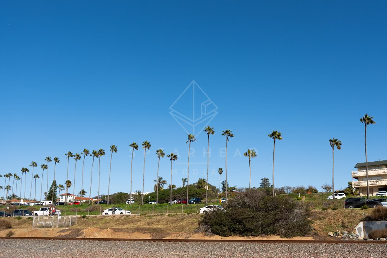 A residential street, palm trees and homes at Swamis.