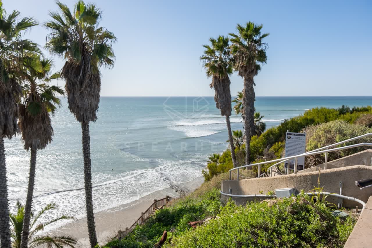 Elevated view of the cliffs, the surf and palm trees at Swamis.