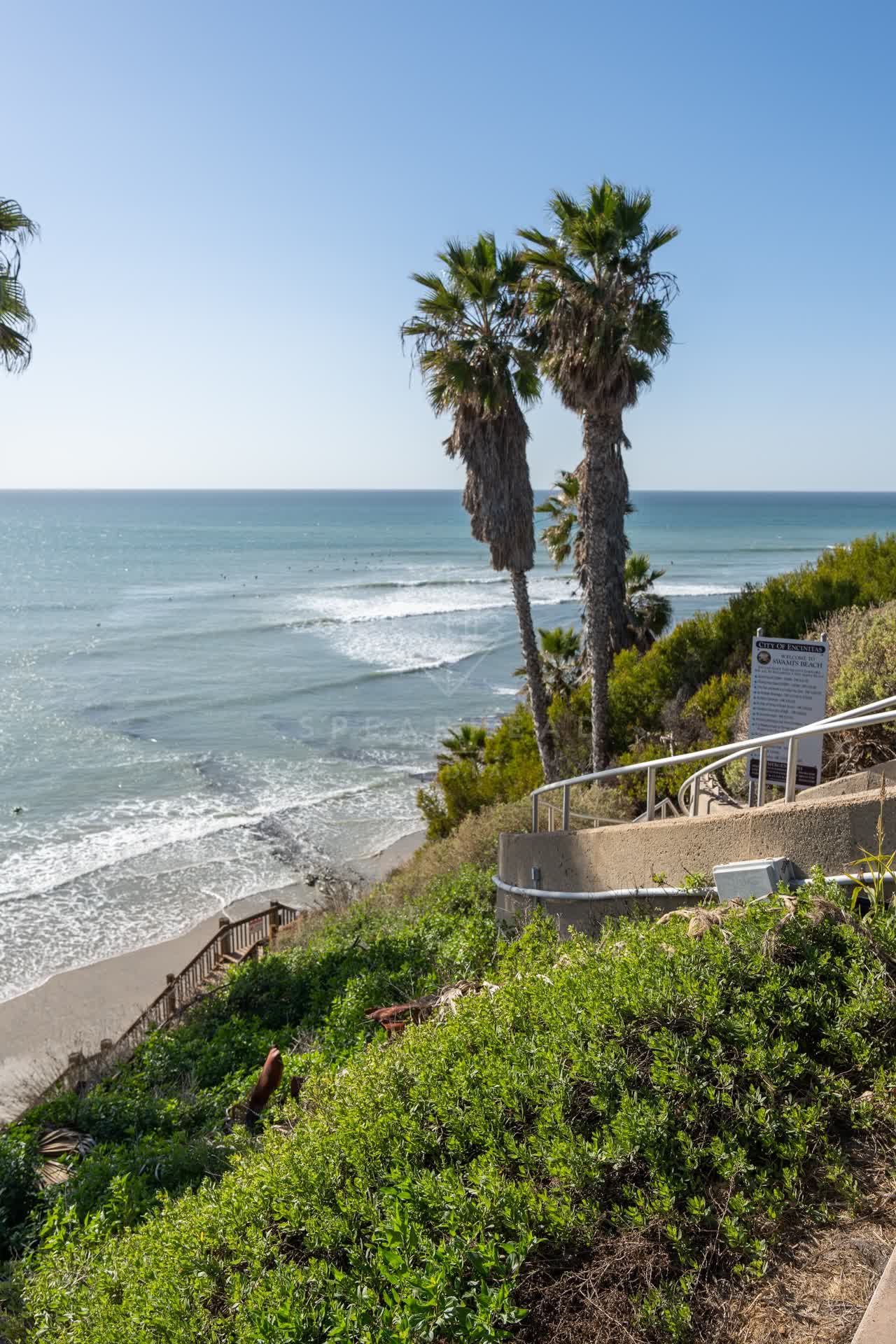 Elevated view of the cliffs, the surf and palm trees at Swamis, with surfers out.