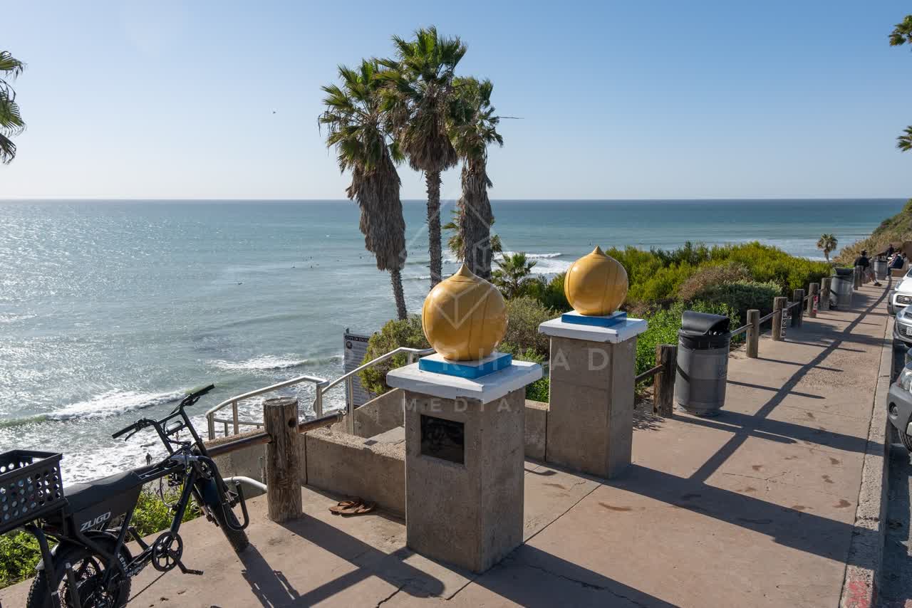 Elevated view of the cliffs, the surf and palm trees at Swamis, with surfers out.