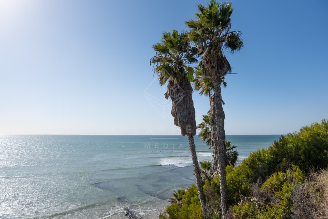 Elevated view of the cliffs, the surf and palm trees at Swamis.