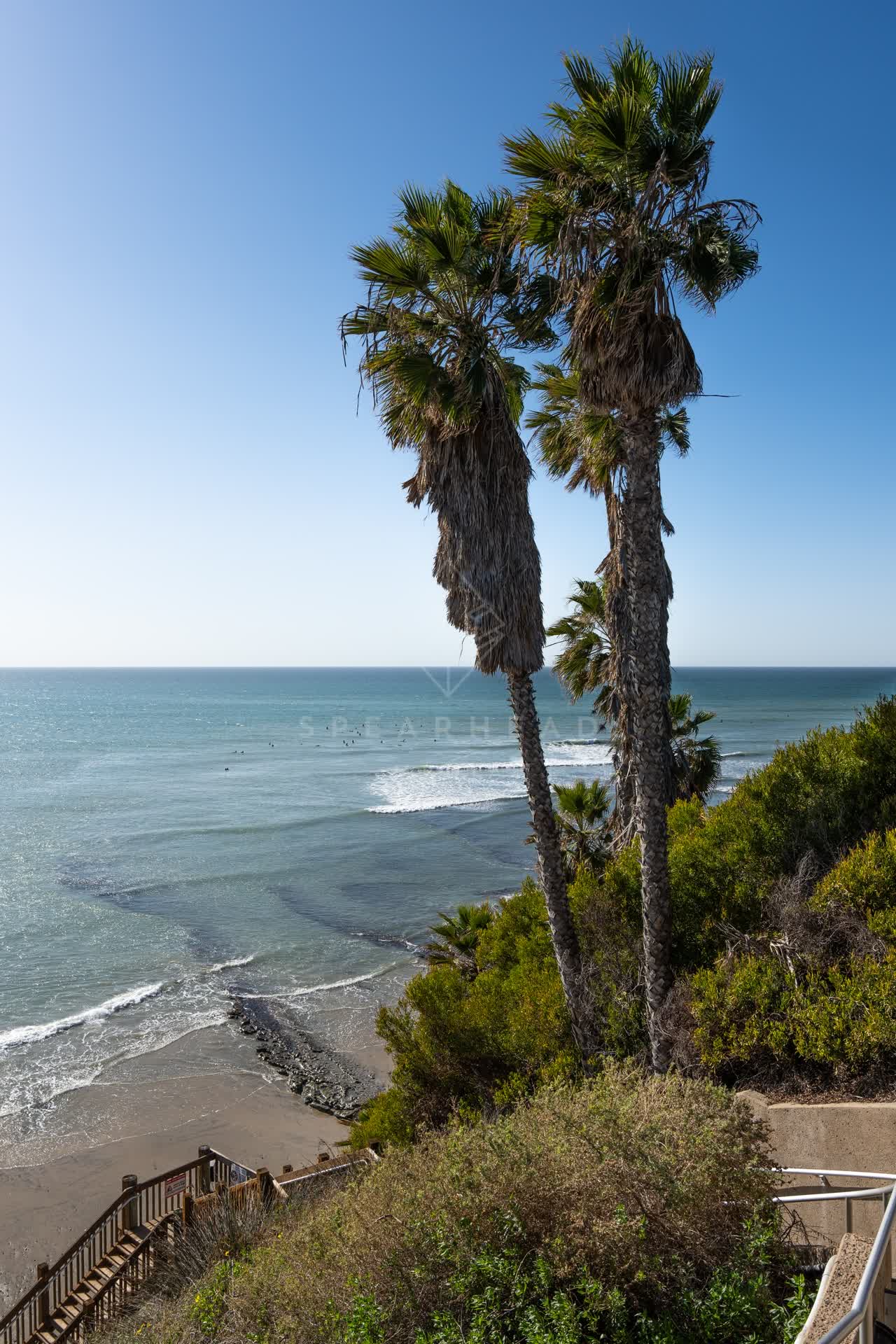 Elevated view of the cliffs, the surf and palm trees at Swamis, with surfers out.
