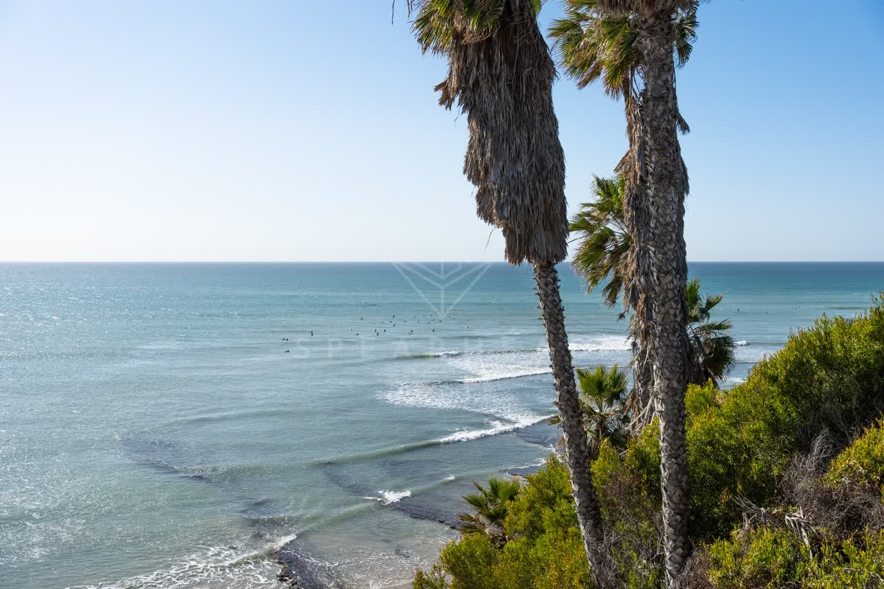 Elevated view of the cliffs, the surf and palm trees at Swamis, with surfers out.