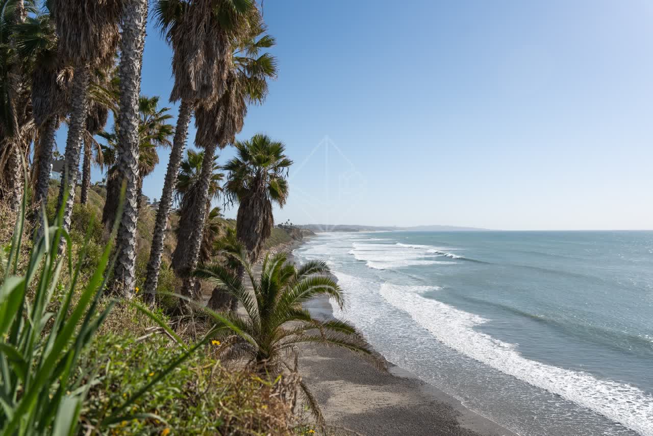 Elevated view of the cliffs, the surf and palm trees at Swamis.