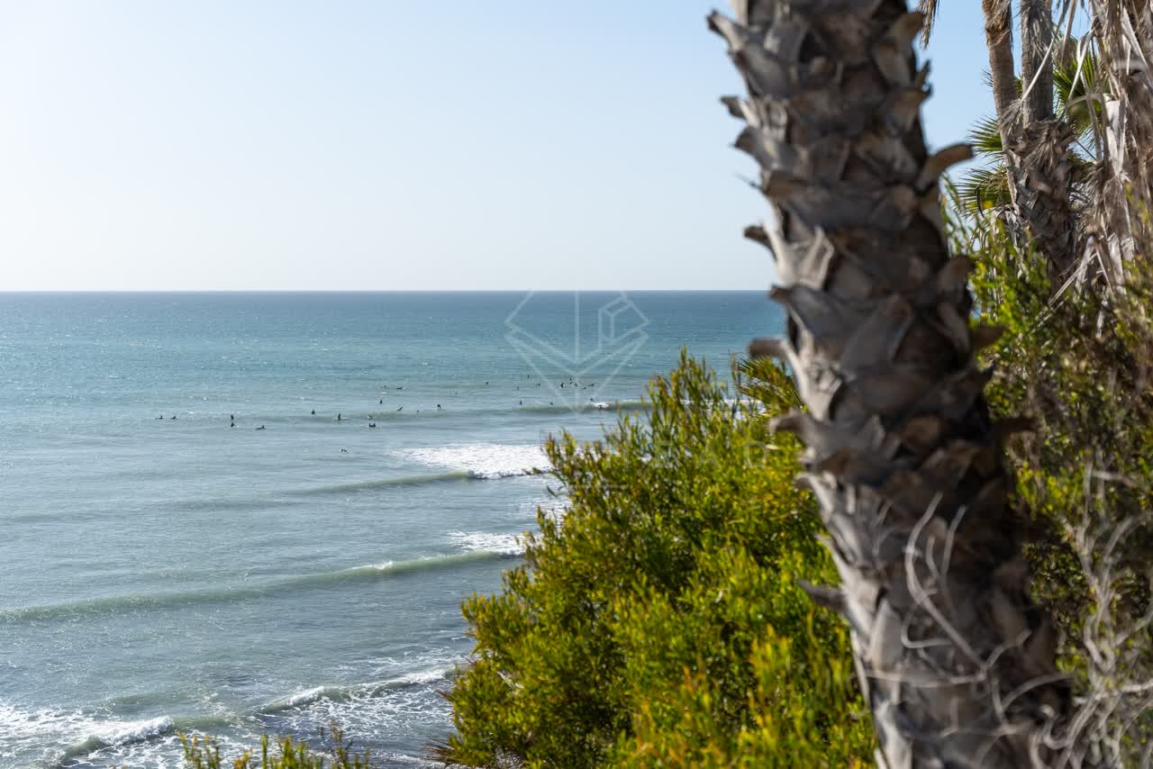 Elevated view of the cliffs, the surf and palm trees at Swamis, with surfers out.