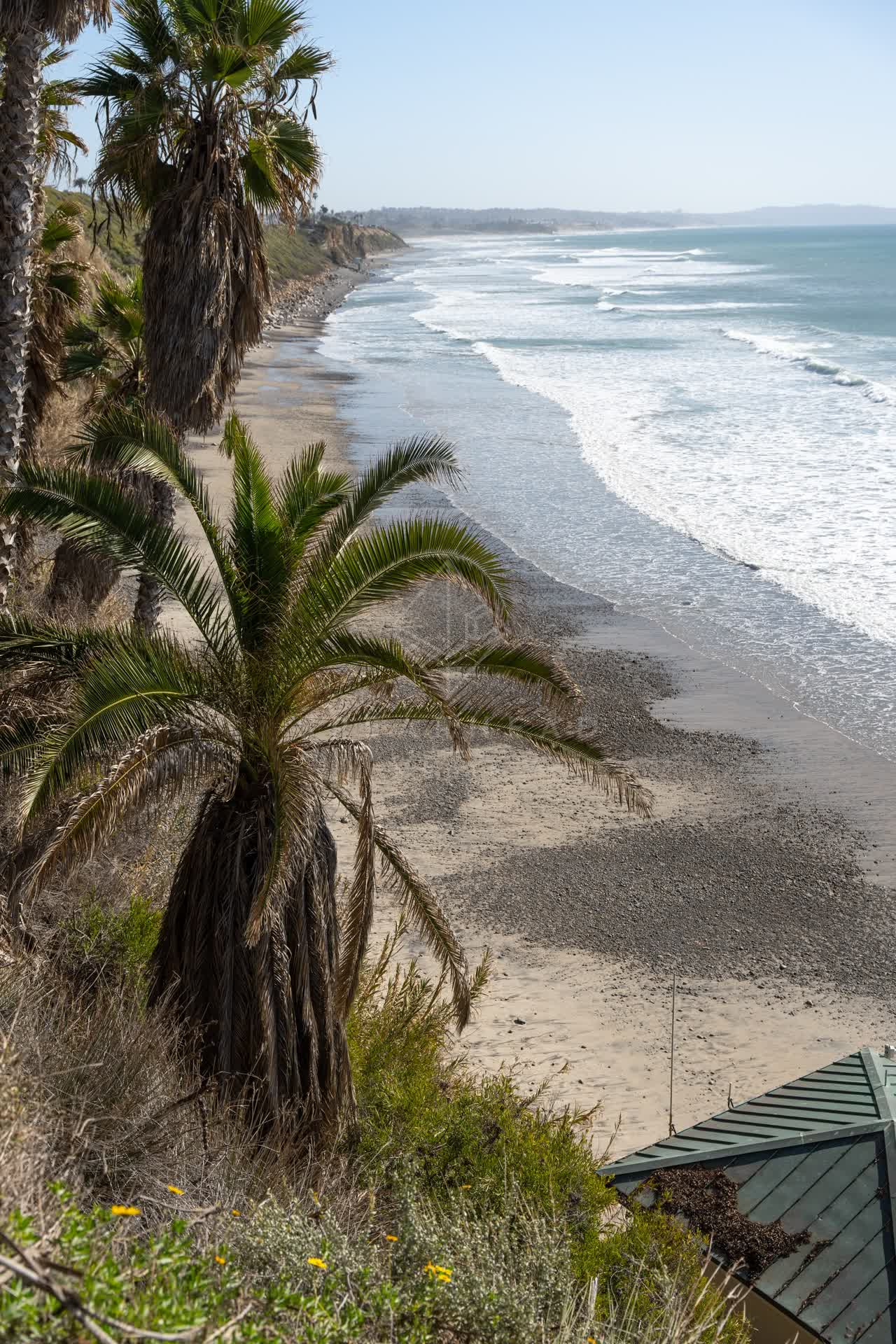 Elevated view of the cliffs, the surf and palm trees at Swamis.