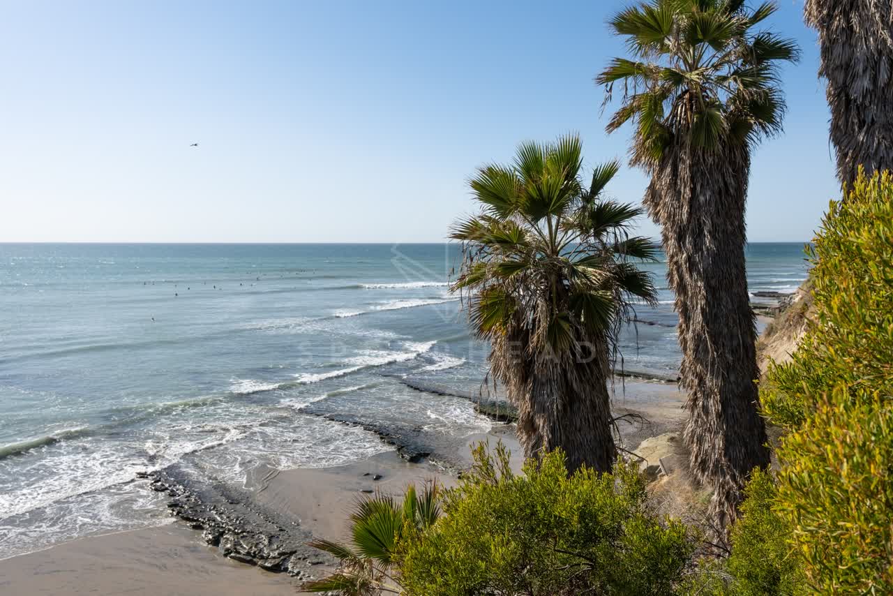 Elevated view of the beach, the surf and palm trees at Swamis, with surfers out.