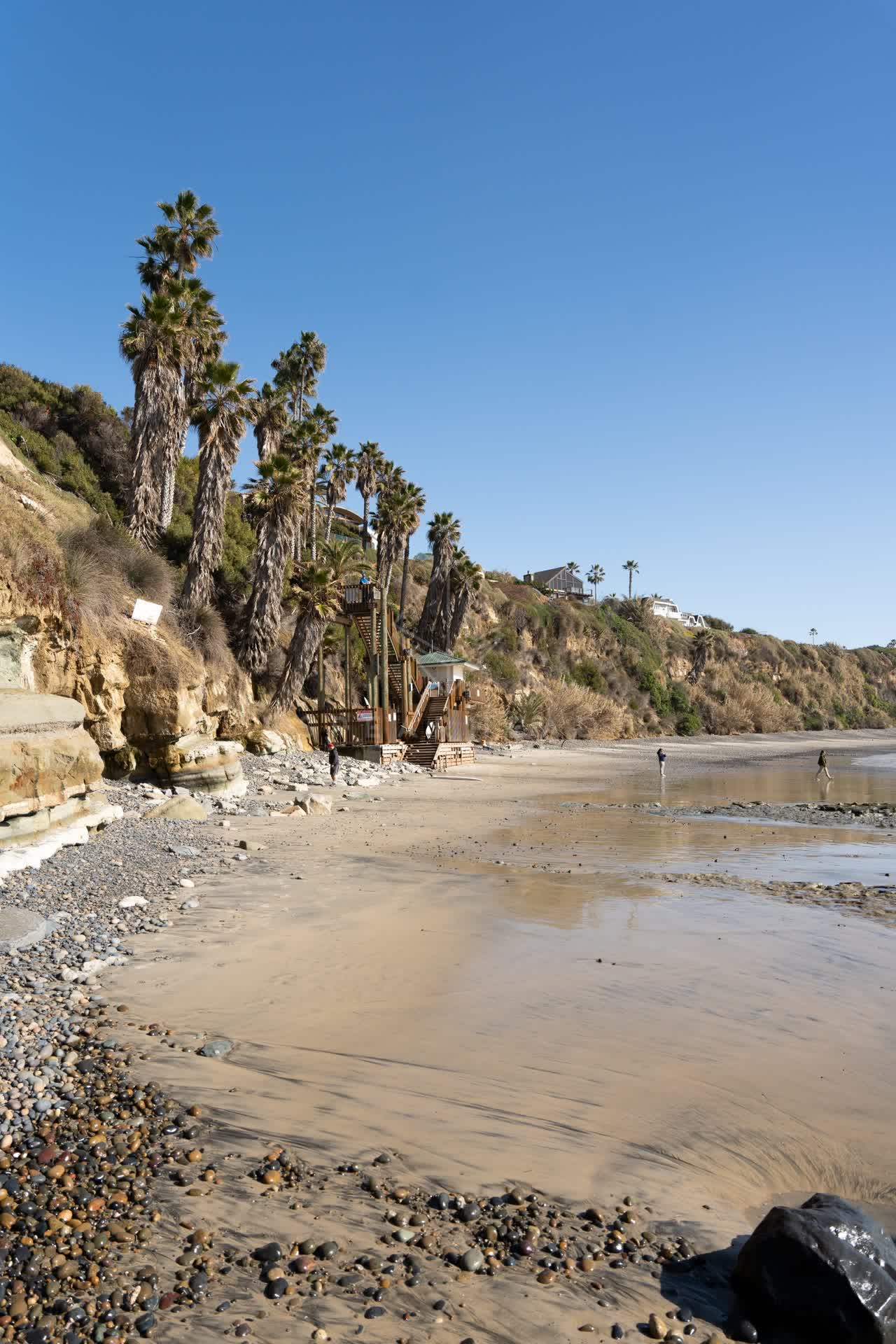 The beach, palm trees and the ocean at Swamis, with people walking.
