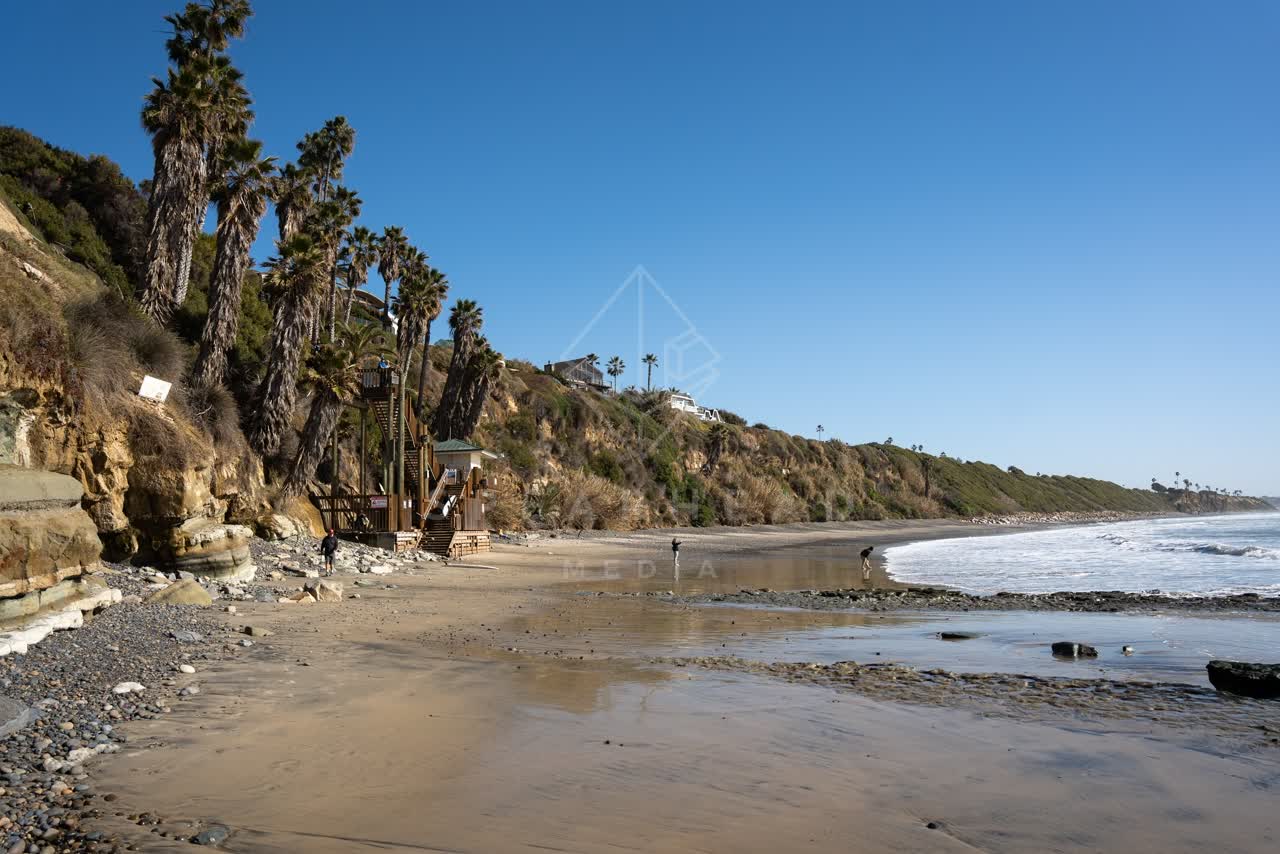 The beach, the surf and palm trees at Swamis, with people walking.