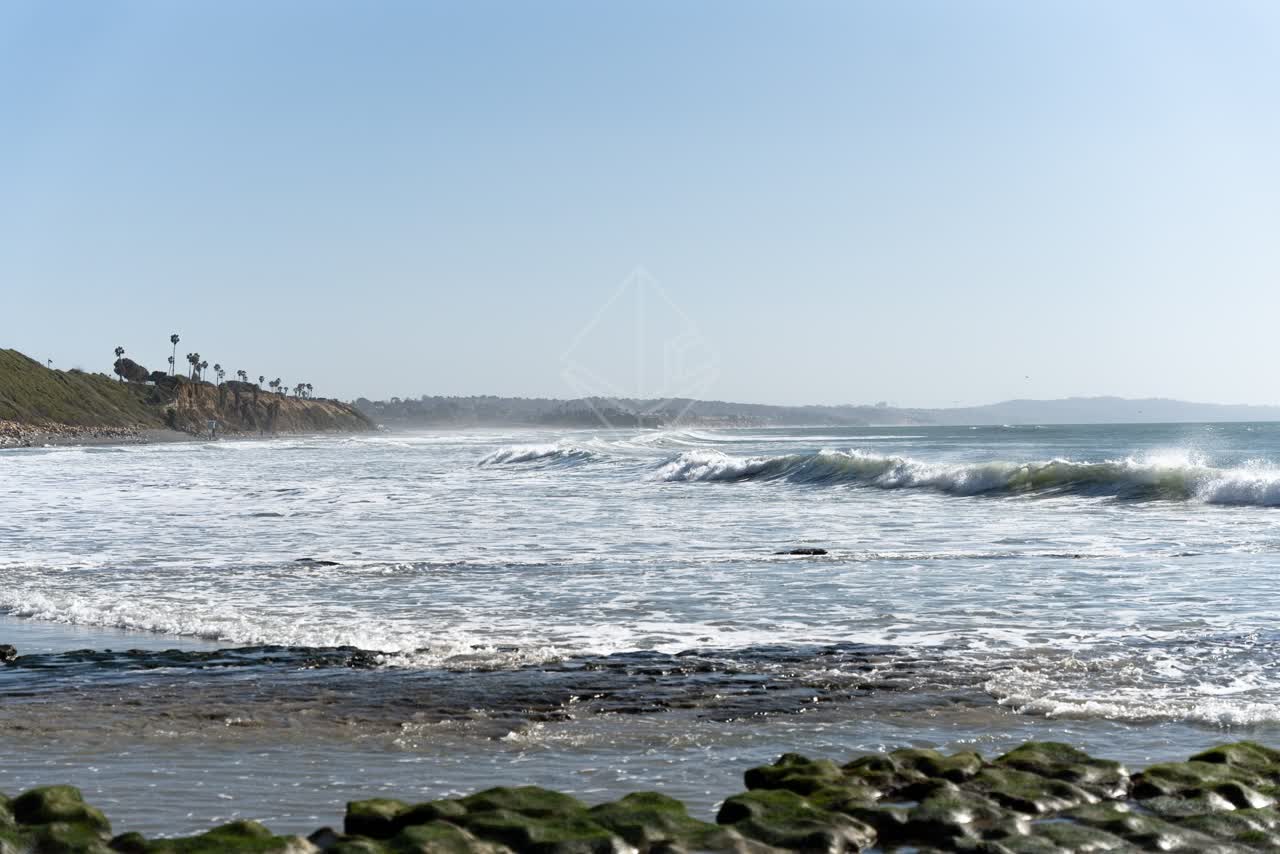 The beach, the surf and palm trees at Swamis.
