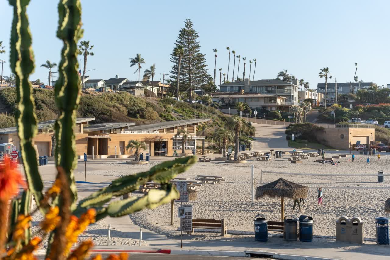 Elevated view of the beach, palm trees and homes at Moonlight Beach, with people walking.
