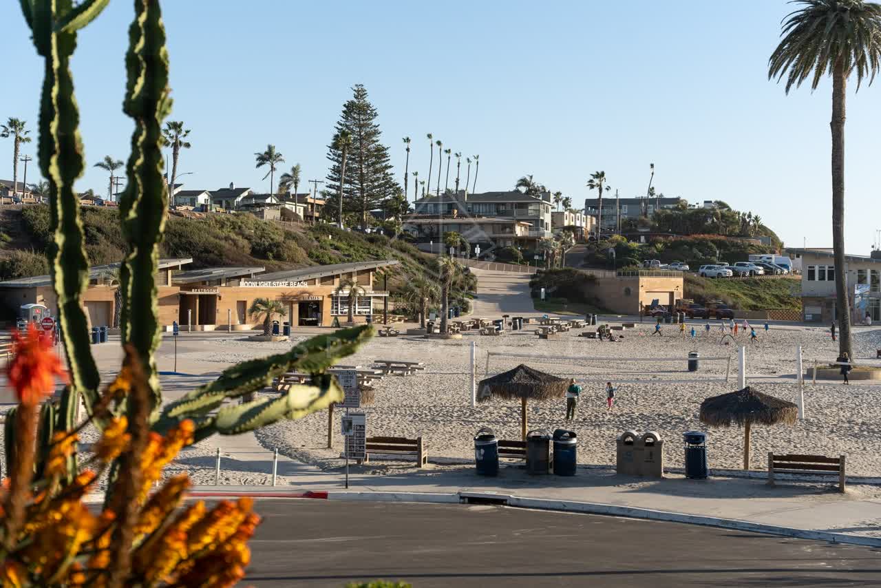 Elevated view of the beach, palm trees and homes at Moonlight Beach, with a crowd gathered.