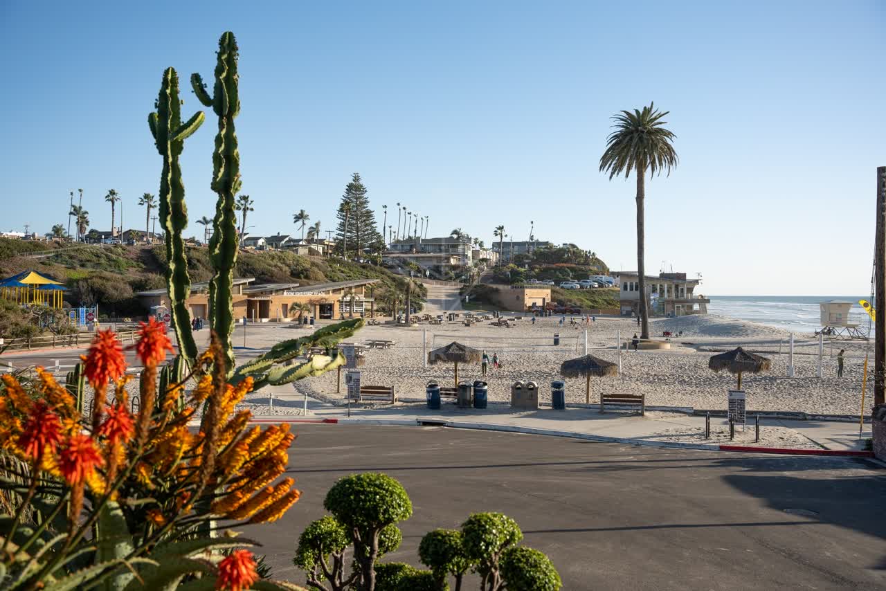 Elevated view of the beach, the surf and palm trees at Moonlight Beach, with people walking.