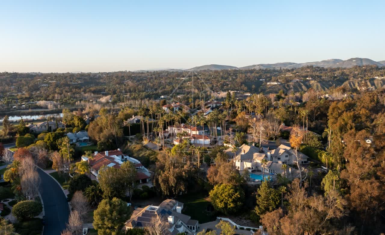 Aerial view of a residential street, palm trees and homes at Fairbanks Ranch.