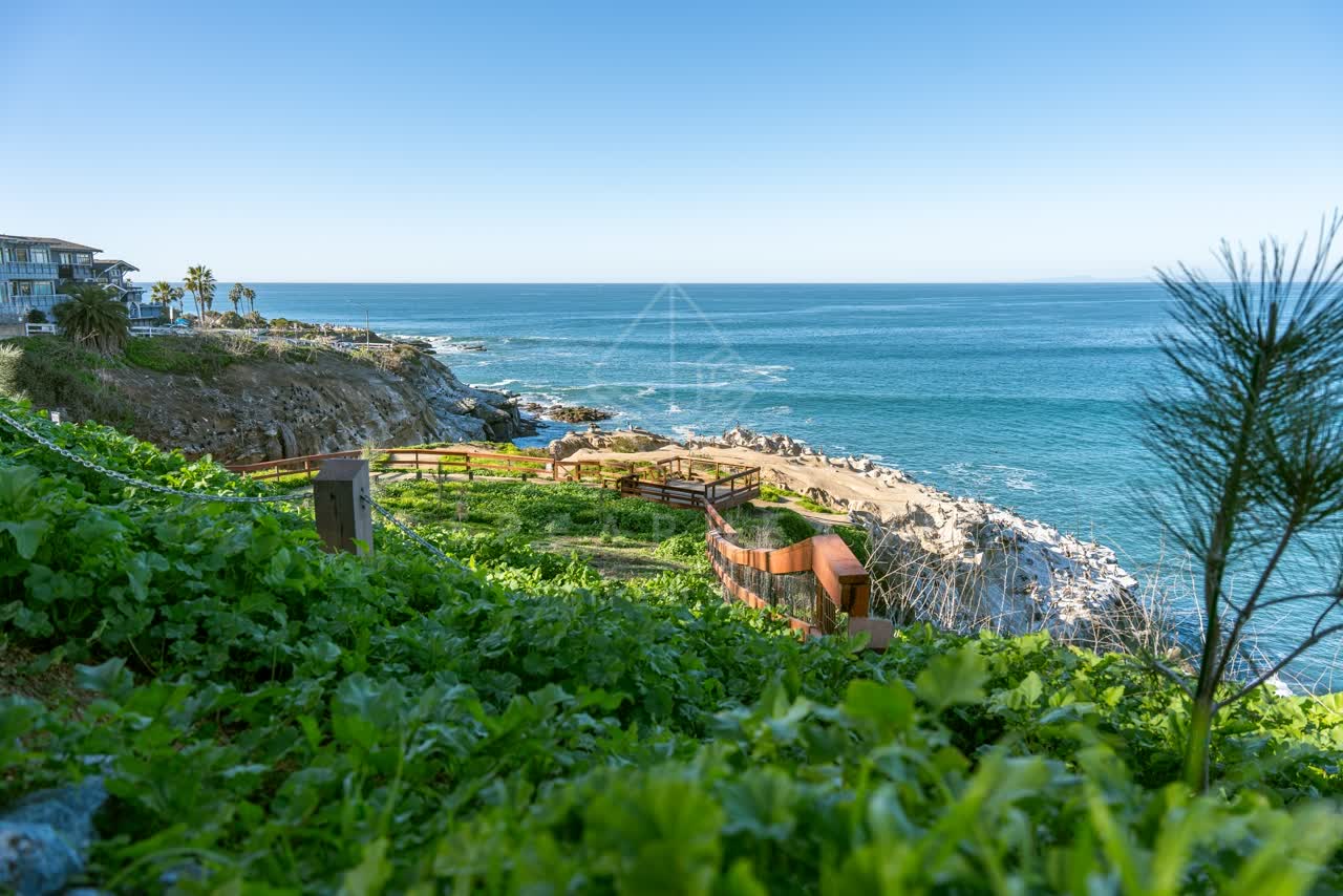 Elevated view of the cliffs, palm trees and the ocean at Coast Walk Trail.