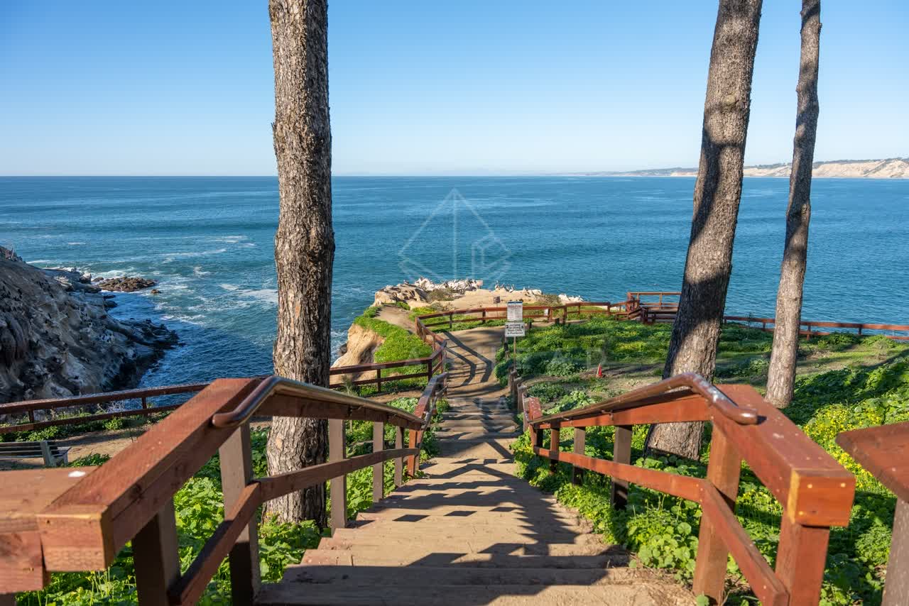 Elevated view of the cliffs, palm trees and the ocean at Coast Walk Trail.