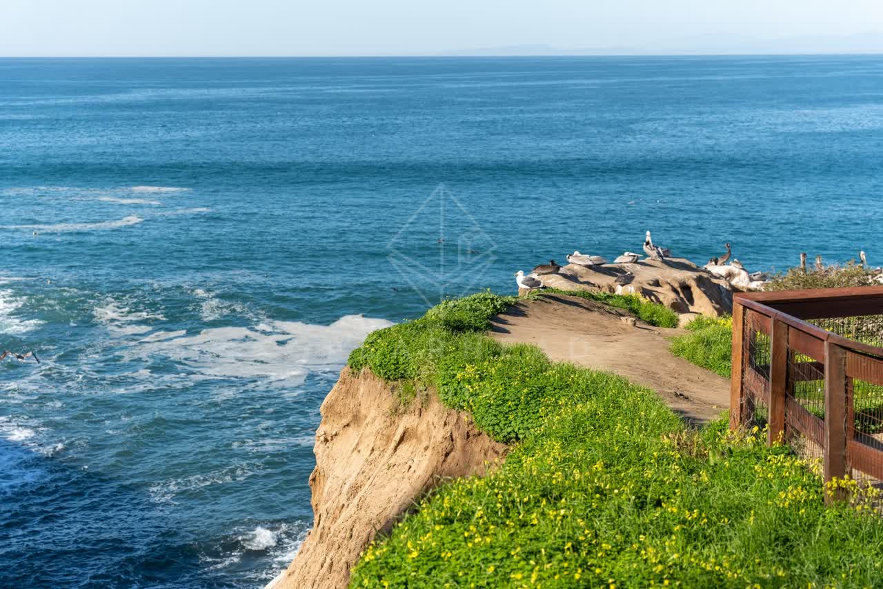 Elevated view of the cliffs, the surf and wildlife at Coast Walk Trail.