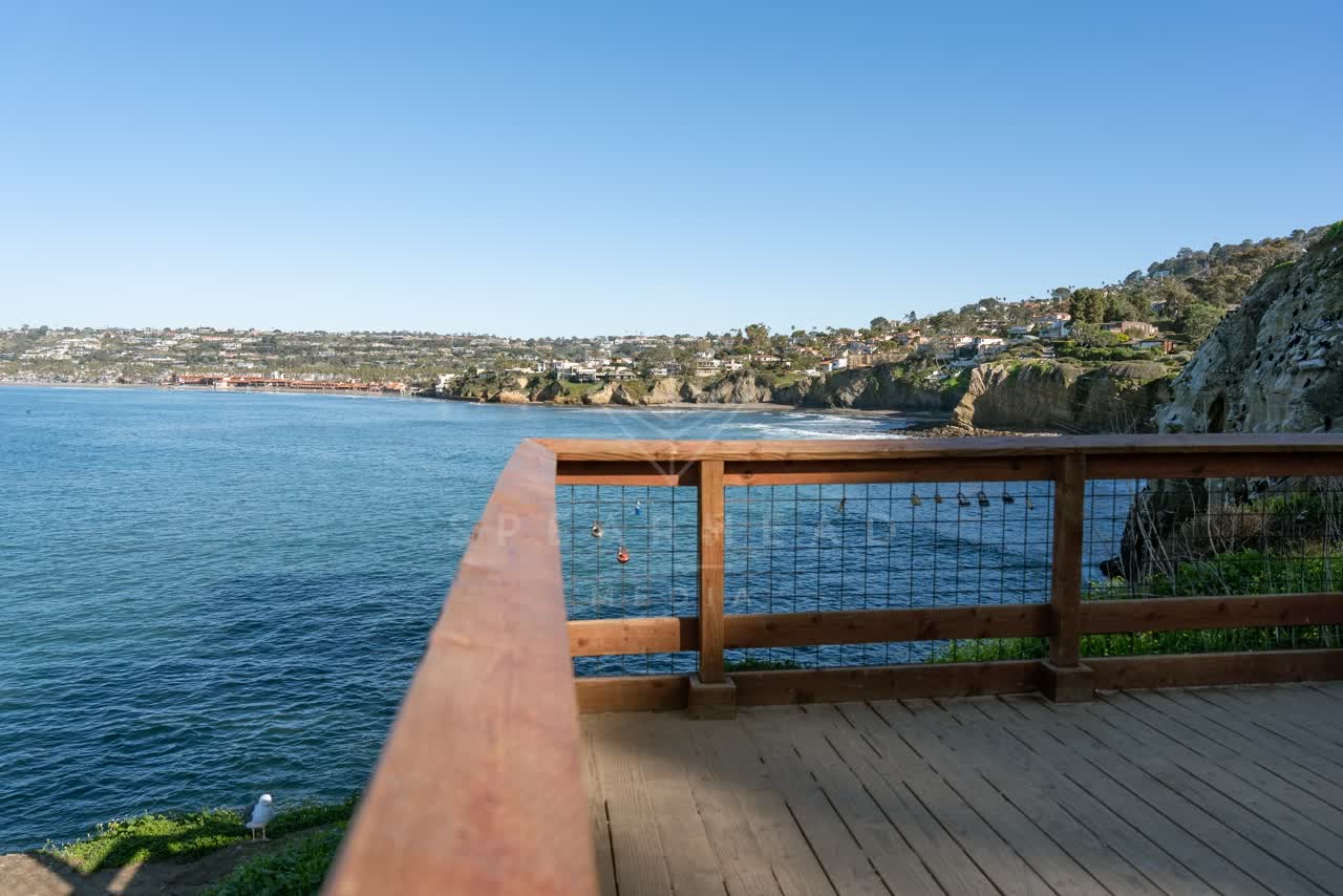 Elevated view of the cliffs, wildlife and the ocean at Coast Walk Trail.