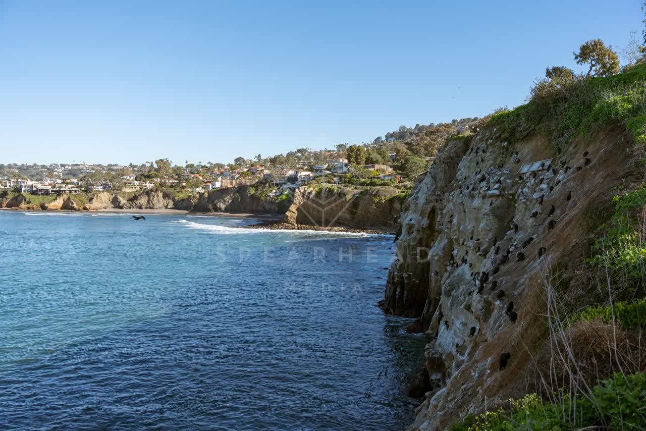 Elevated view of the cliffs, wildlife and the ocean at Coast Walk Trail.
