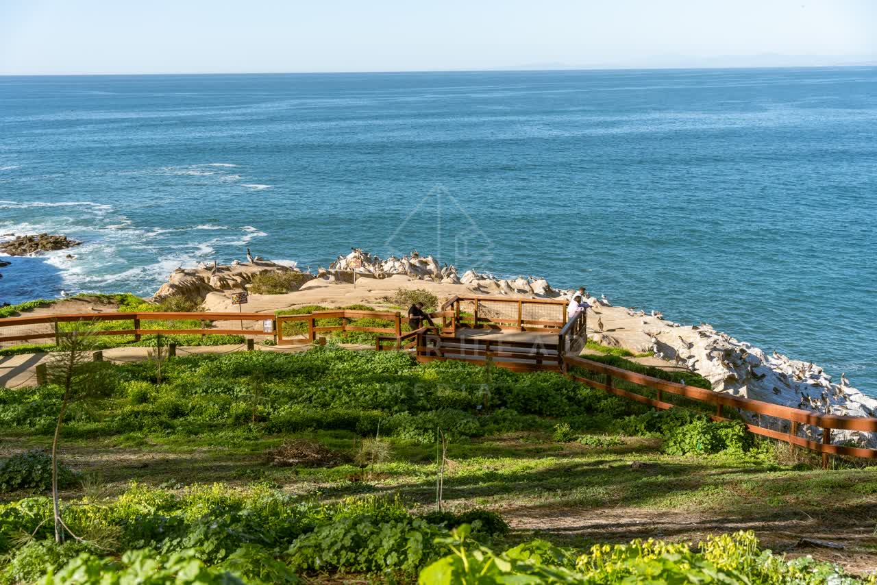 Elevated view of the cliffs, the surf and wildlife at Coast Walk Trail, with people walking.