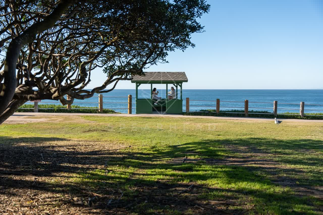 A park, wildlife and the ocean at La Jolla Cove, with a crowd gathered.