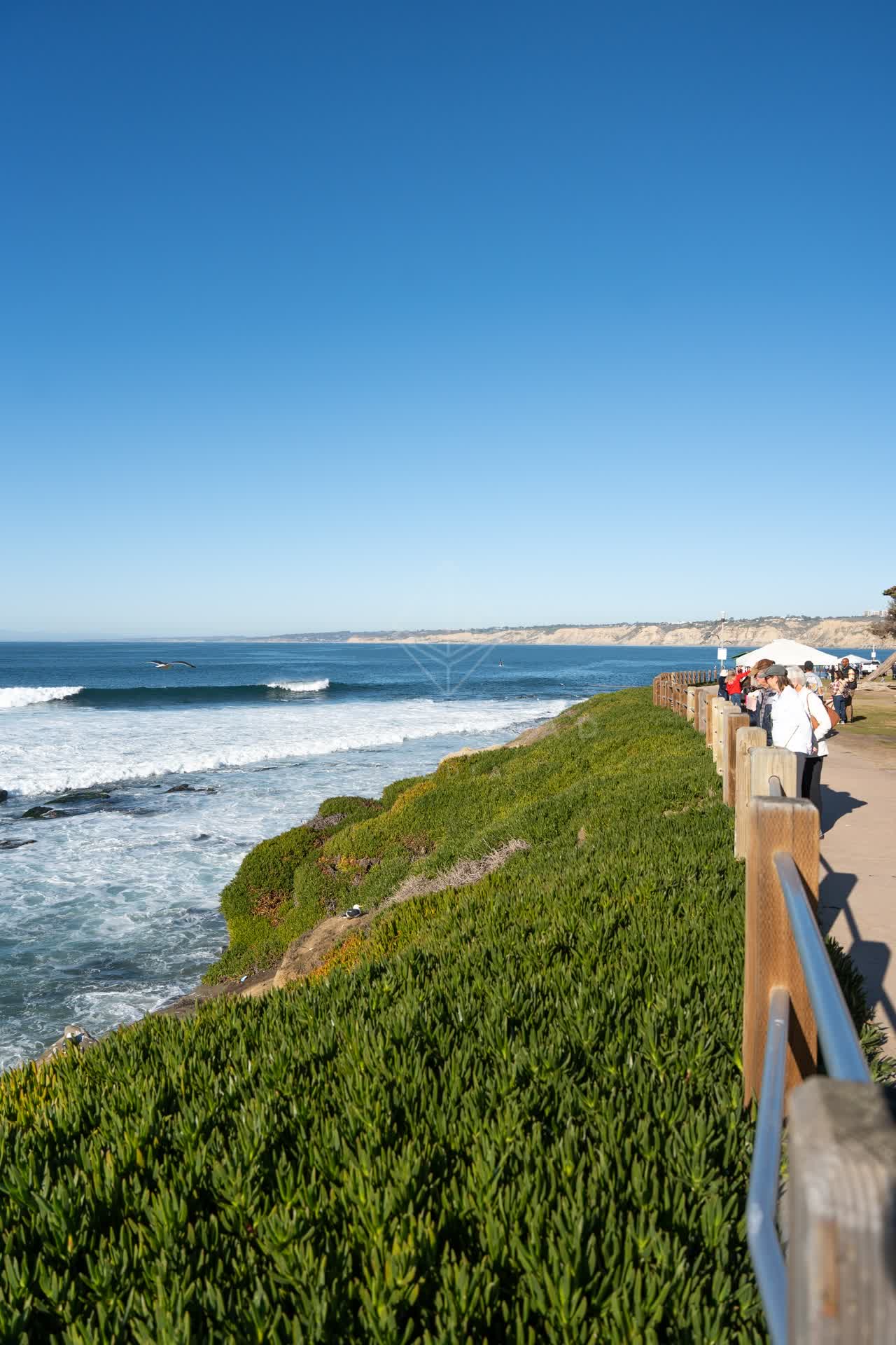 Elevated view of the cliffs, the surf and the ocean at La Jolla Cove, with people walking.