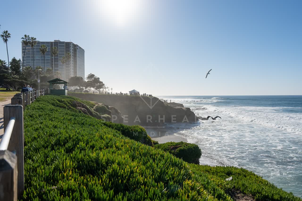 Elevated view of the cliffs, wildlife and palm trees at La Jolla Cove, with people walking.
